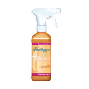 Brilliance® for spas Spray & Rinse Filter Cleaner