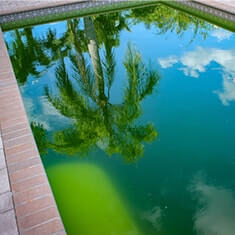 Colored Water
