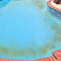 Mustard Algae