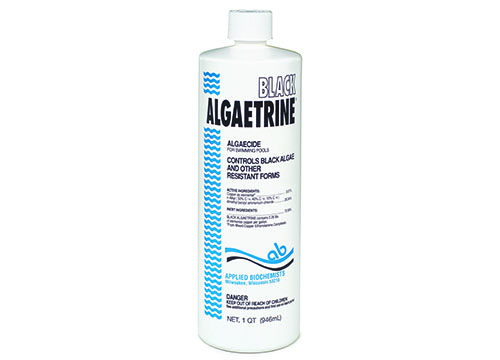 Black Algaetrine | algaecide