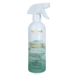 Spray & Rinse Filter Cleaner